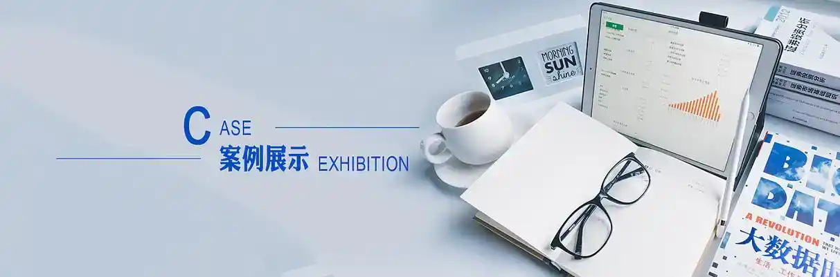 阜城县软件开发